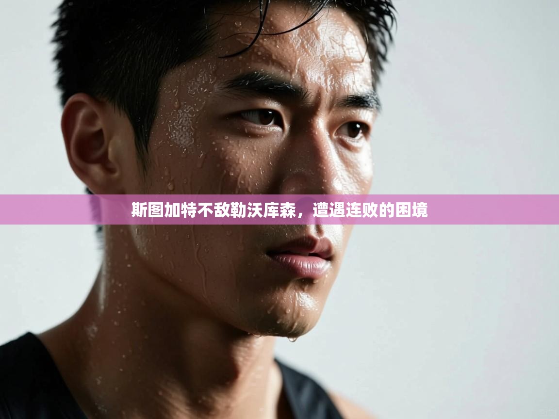 斯图加特不敌勒沃库森,遭遇连败的困境 第2张