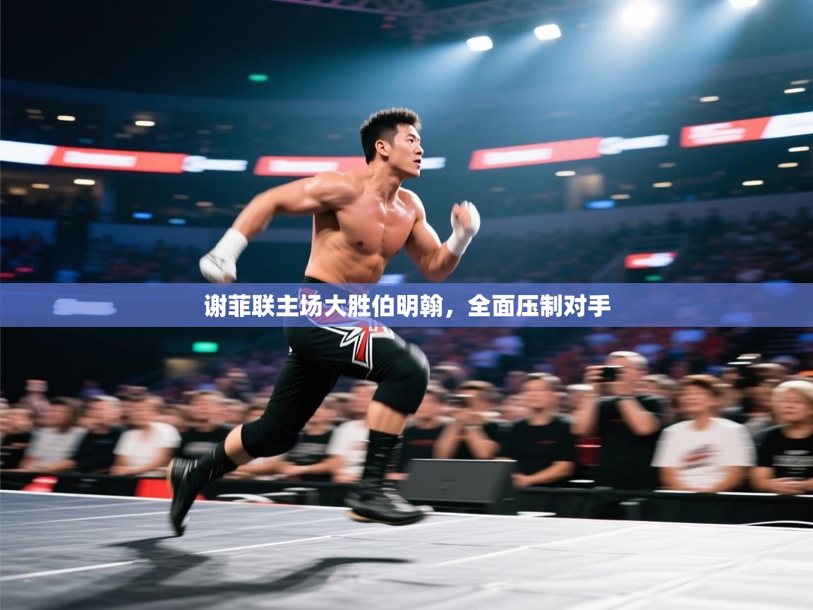 谢菲联主场大胜伯明翰，全面压制对手  第1张