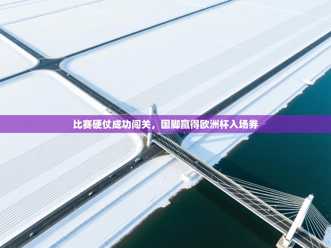 比赛硬仗成功闯关,国脚赢得欧洲杯入场券 第1张