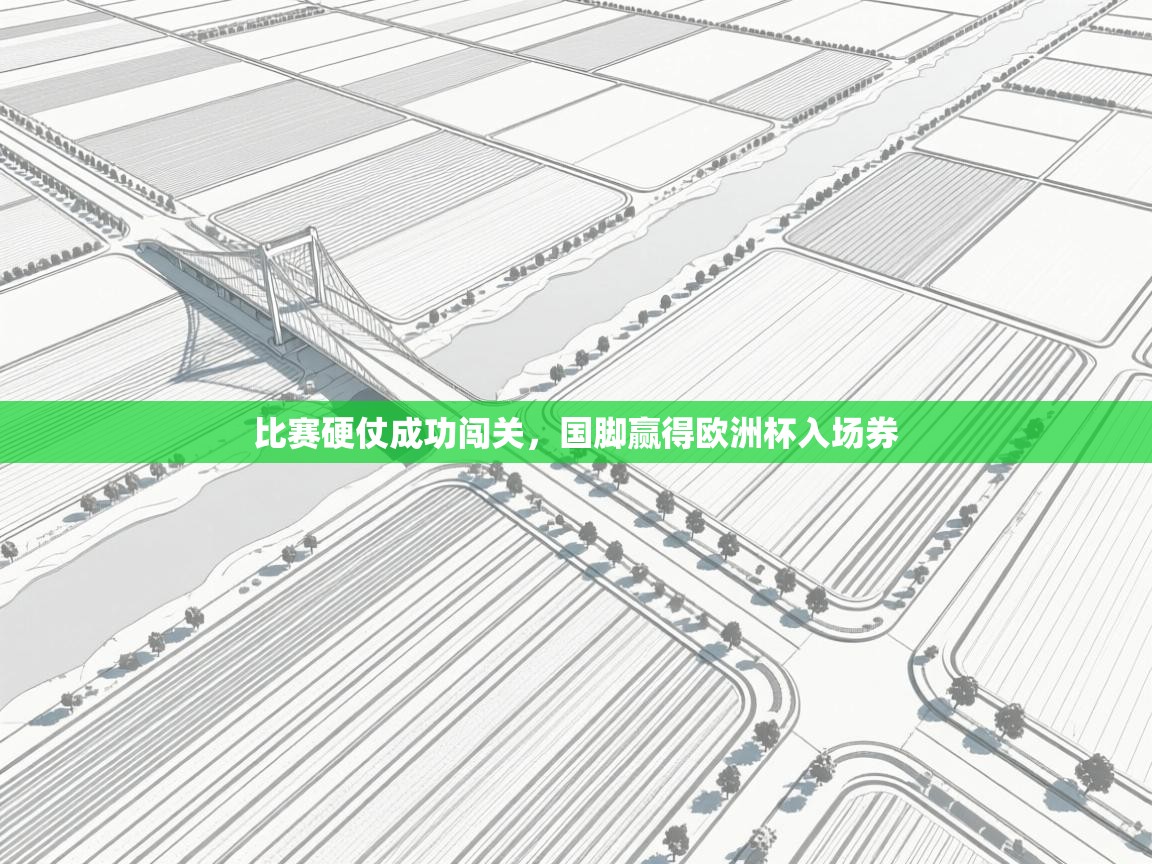 比赛硬仗成功闯关,国脚赢得欧洲杯入场券 第2张